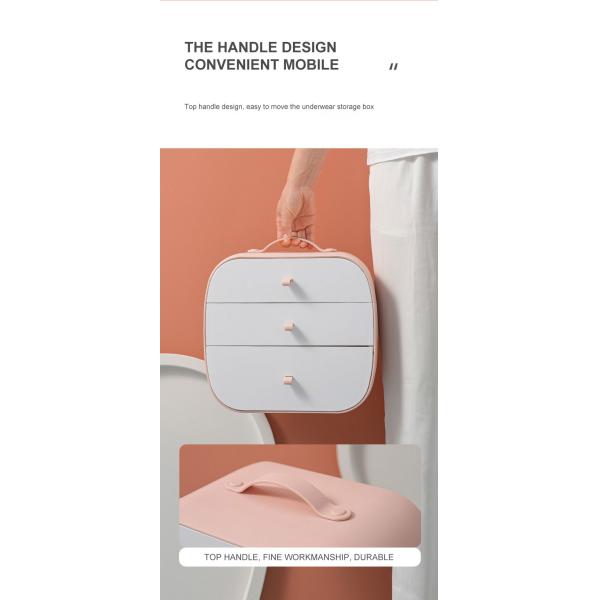 Convenient Storage Solution Dust-Proof Plastic Storage Box for Underwear and Socks