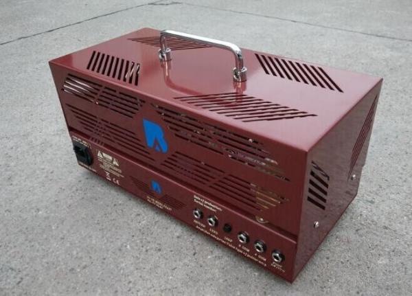 Rectifier Tube Guitar Amplifier Head 25W/10W with Jj Tubes Mesa Boogie Rectifier Style Metal Cabinet