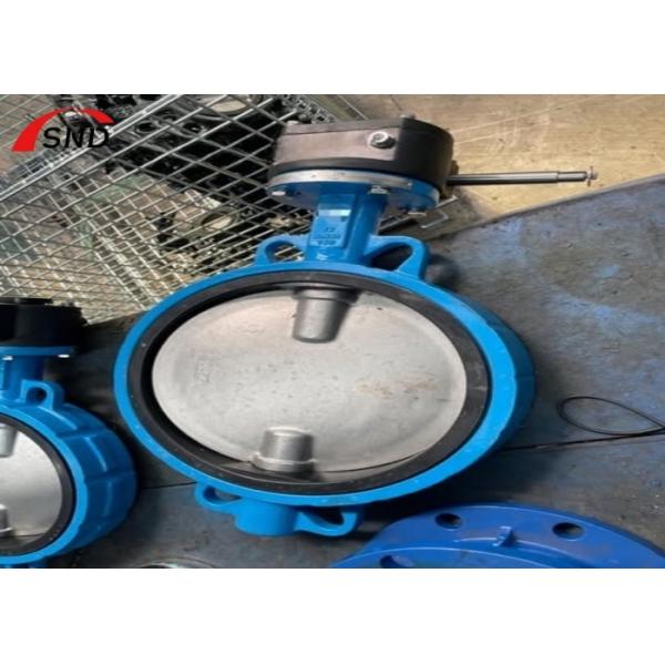 2500LB Bf Butterfly Valve Customized Ductile Iron Wafer Butterfly Valve