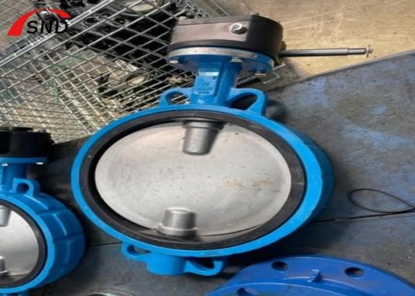 Ductile Iron Wafer Butterfly Valve for Water and Gas Pipelines