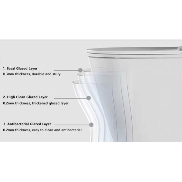 Bowl One Piece Water Closet  Jet Siphonic Flushing Compact Elongated Toilet