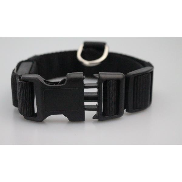 Wholesale waterproof usb rechargeable led dog collar