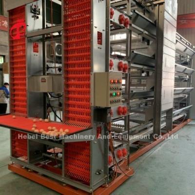 Equipamento automático de gaiola de frango de H Quadro 4 camada de criação de camada de gaiola para 50.000 fazenda Doris Shi