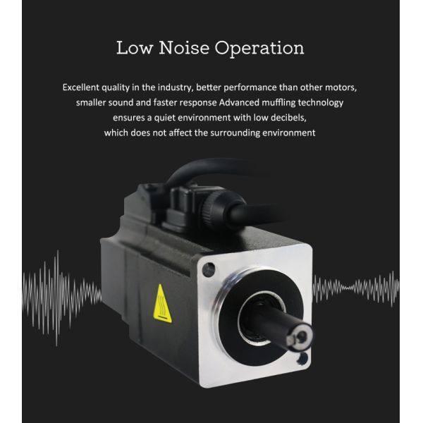 Lichuan DC Servo Motor Drivers Kit DS2-10P/R/C/E Low Voltage 100W 0.32N.m 24/48V 3.7/6.5A 3000RPM IP65