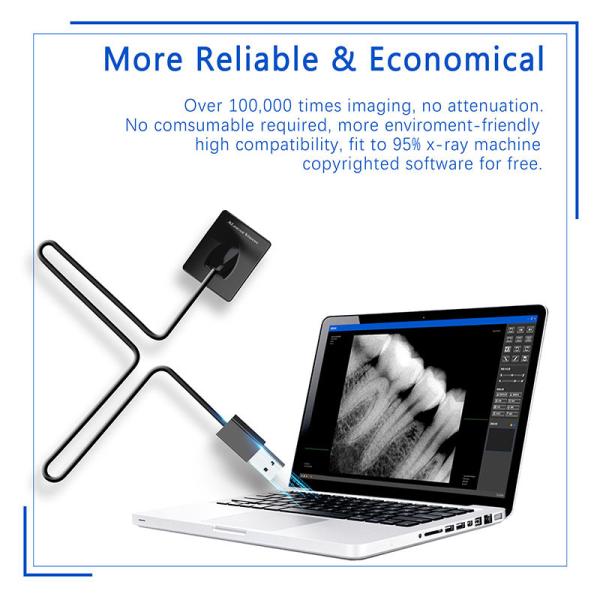 Dental X-Ray Digital Sensor For Dental Implant And Endodontic Treatment