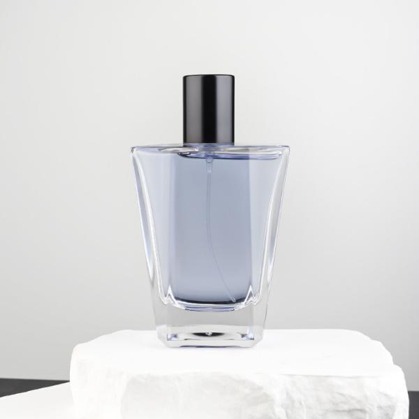 Стеклянные роскошные брызги духов разливают 100ml по бутылкам не не протекая