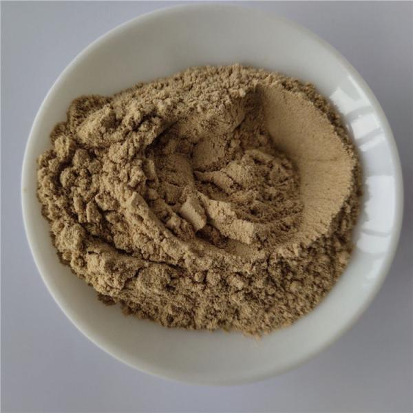 wholesale rheumatism capsule desmodium extract in bulk