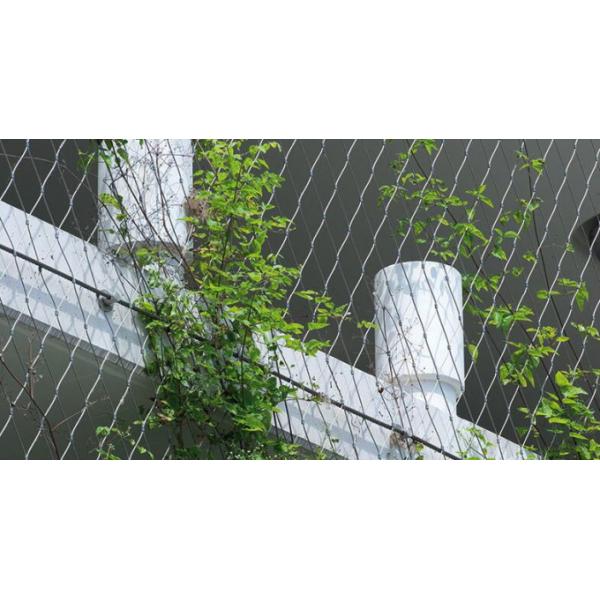 Flexible Inox Wire Rope Plant Trellis , Plant Climbing Green Wall Mesh