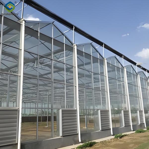 New Products Ultraviolet-Proof Farming Venlo stype greenhouse with hydroponics systems