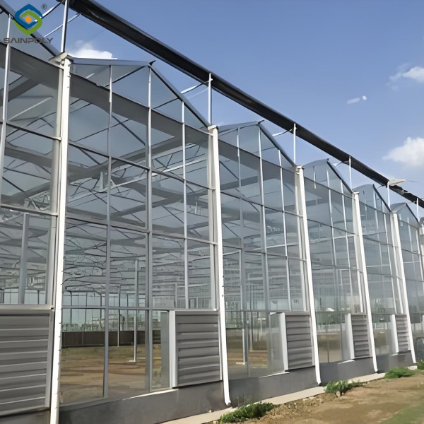 Hydroponic Venlo PC Polycarbonate Solar Glass Greenhouse Customizable