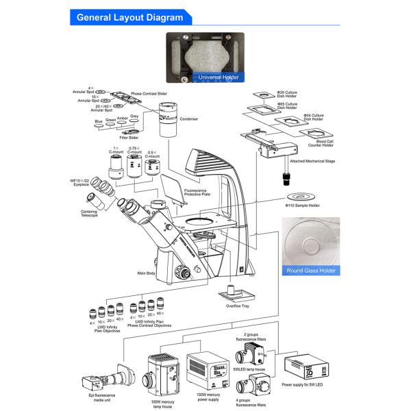 ВФ10кс/22мм Тринокулар перевернуло биологический микроскоп А14.2603 кинтупле большого диаметра