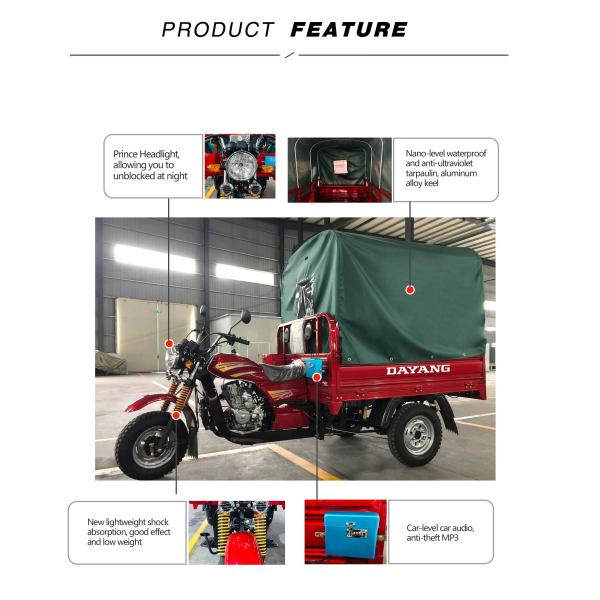 Cargo 250cc Powerful Durable Tricycle Petrol Tricycle with Cabin