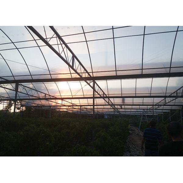 High Strength Hydroponic Clear Umbrella Greenhouse Strong Poly Tunnel