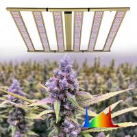 Lampes de culture LED pour serres commerciales 1200W à spectre complet pour plantes d'intérieur