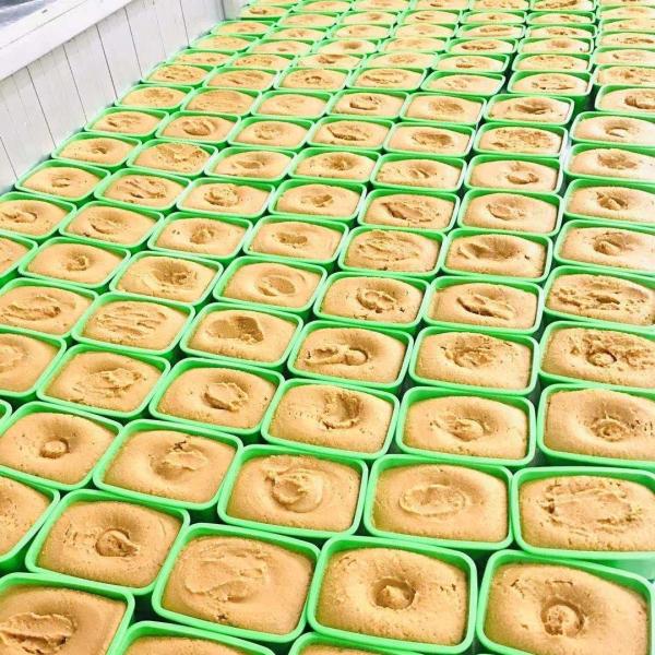 Hot Wholesale  Sushi Seasoning Soybean Paste DARK Shiro Miso