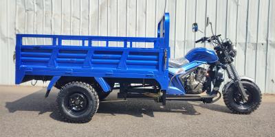 200CC Water-Cooled Engine/Cargo Tricycle/Agricultural Tricycle/Motor Tricycle