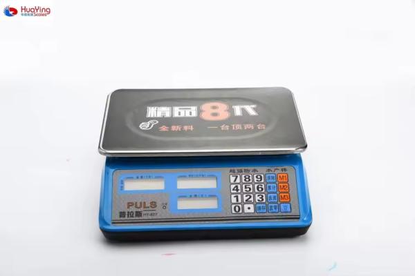 Balances ménagers portables de type T personnalisées pour bagages express et mesure en grammes