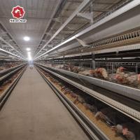 En multipliant la cage H de poulet de couche d'équipement dactylographiez à 3 rangées 54 oiseaux/ensemble