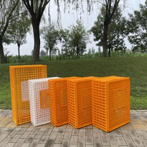 プラスチック 衛生 安全 鶏 輸送 箱