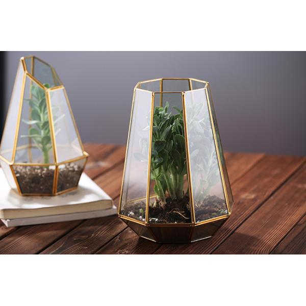 Irregular Geometric Glass Terrarium , Tabletop Diy Geometric Terrarium