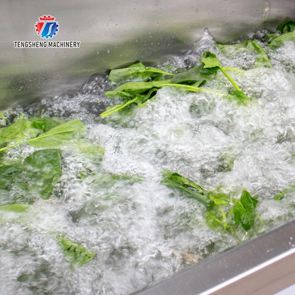 85KG Manufacturers independent research and development of small vegetable washing machine cleaning sand machine