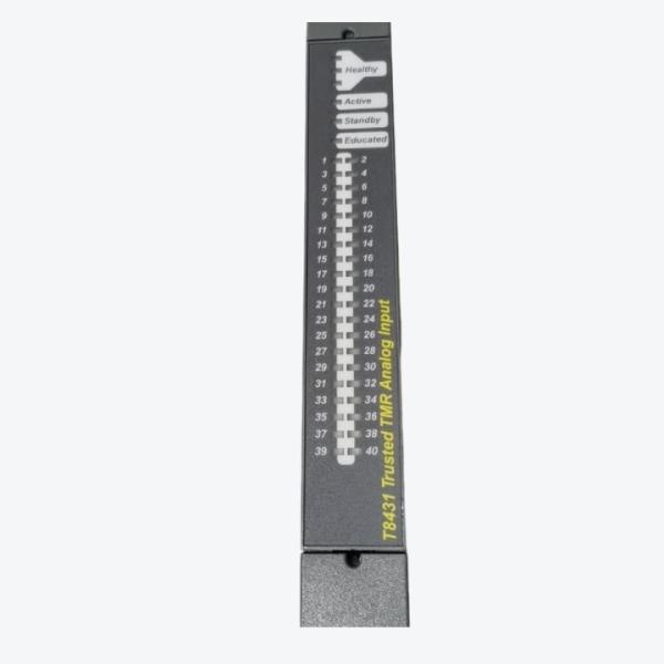 ICS TRIPLEX T8191C доверил PLC модуля цифрового данного