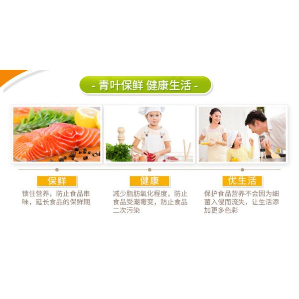 NEW Househlod Food Vacuum Sealer Packaging Machine Film Sealer Vacuum packer DZ-108