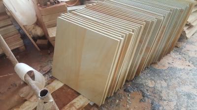Honed Sandstone Wall Covering 10-50mm Thick external sandstone cladding