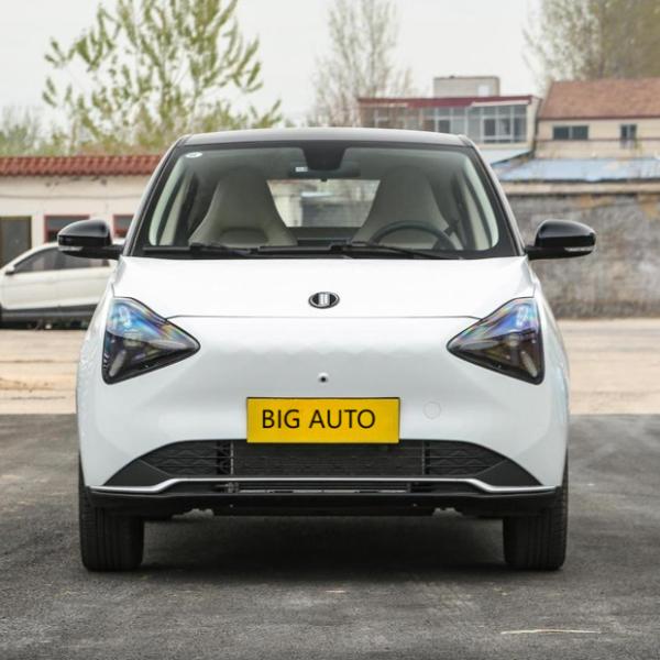 Baixo Consumo Carro elétrico puro Joy 01 10,3 kWh por 100 km Carro elétrico de gama longa