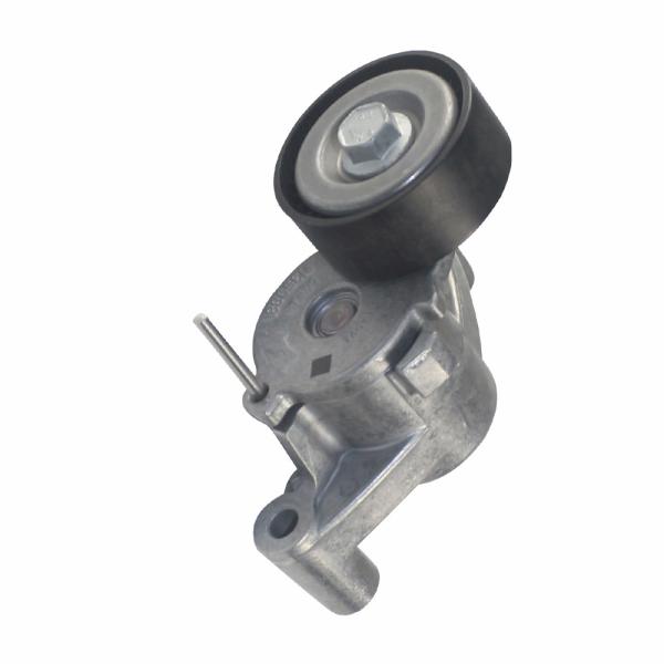 31359881 for S60 Parts Drive Belt Tensioner Assembly