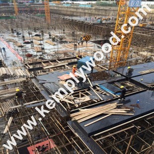 Combi core marine film faced plywood for timber formwork , poplar core, hardwood core, birch core film faced plywood