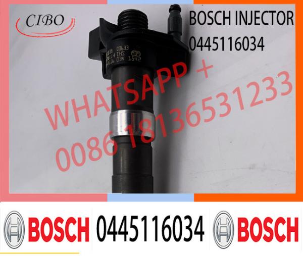 0 445 116 034 Injector Diesel 0445116057 0445 116 034 Fuel Injection 0445 116 057 0445116034 0 445 116 057 for VW