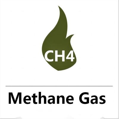 China Best Price Factory Wholesale  High Purity Cylinder Gas  CH4 Methane