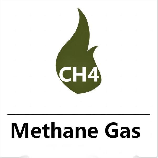 China Best Price Factory Wholesale  High Purity Cylinder Gas  CH4 Methane