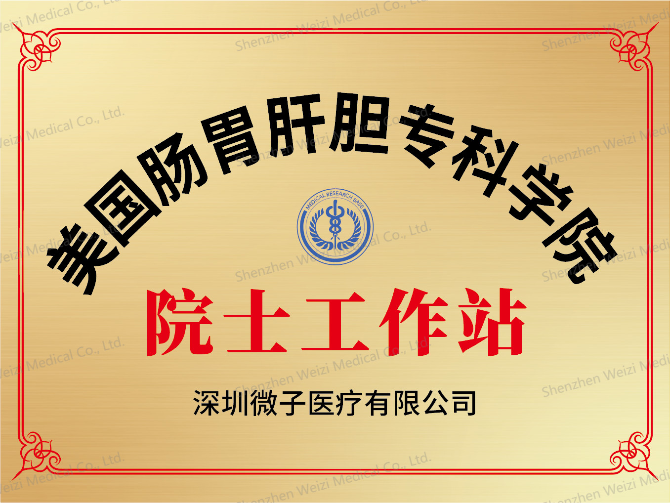 Shenzhen Weizi Medical Co., Ltd. Сертификации
