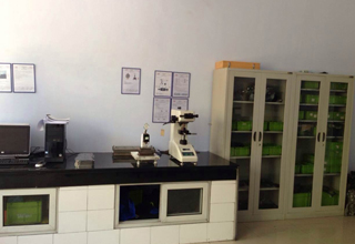 Ningbo Maojia International Trading Co.,Ltd