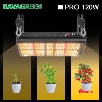 jardim interno da placa 120W Samsung do quantum de 3000K 5000K LM301B conduzido para crescer luzes