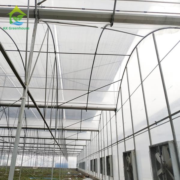 парника тоннеля 0.06mm парник 0.20mm толстого Flm поли горячий гальванизированный стальной