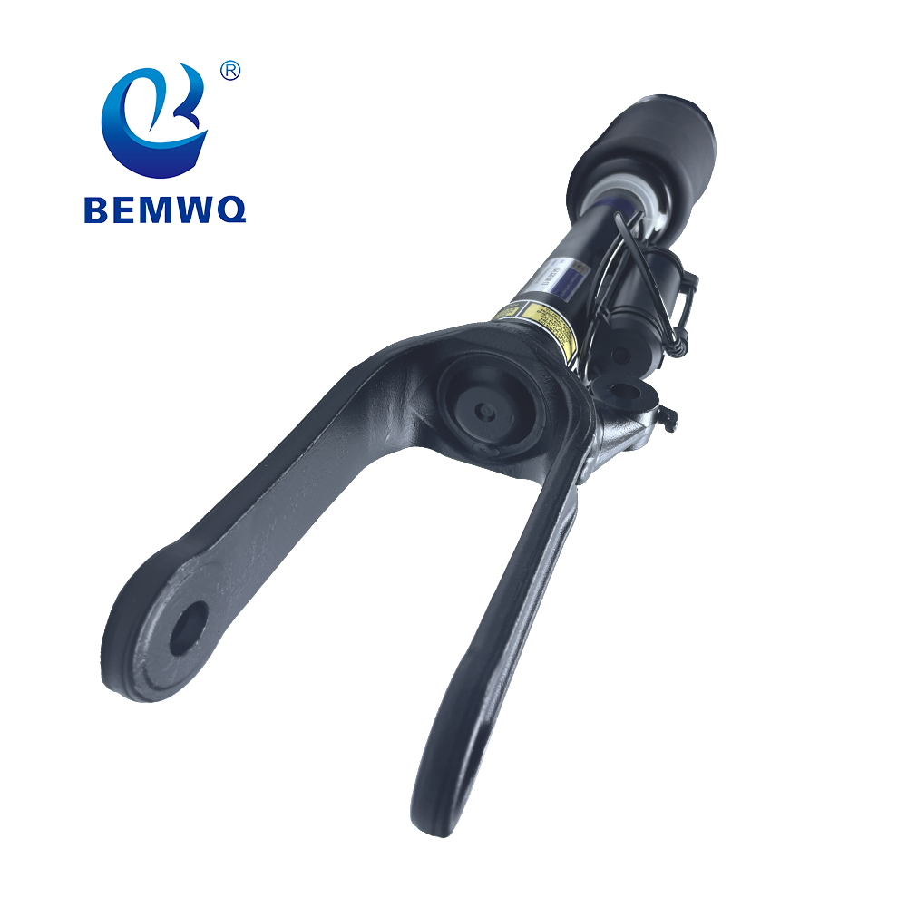 Mercedes Benz Suspension Parts 1643206013 1643204613 Front Shock Absorber for Benz M272