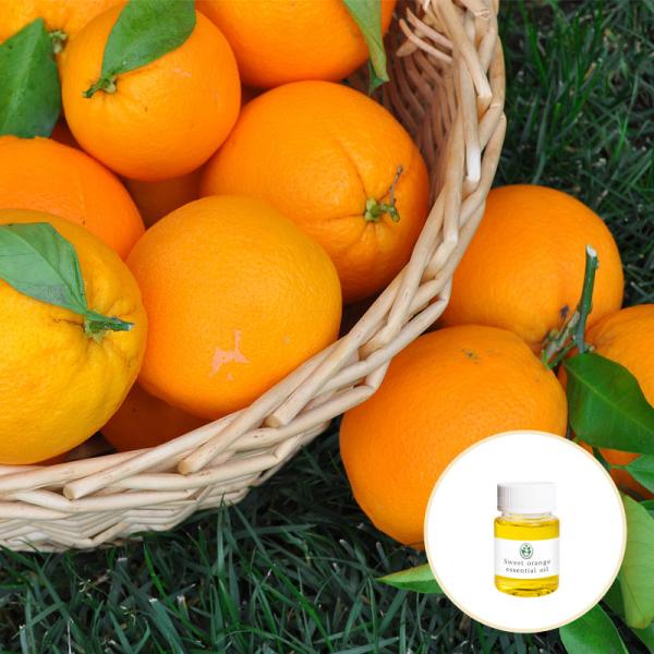 Cas 8008 57 9 Wholesale Price Aromatherapy Peeling Sweet Orange Essential Oil
