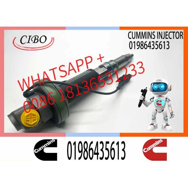Fuel Injector Assembly F00BJ00002 01986435613 0986435902 0986435905 0986435616 F00BJO0008For Qsk19 Engine