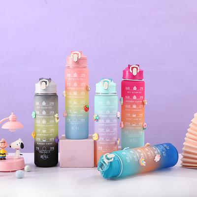Légère 550/750/1000ML Couleur dégradée Bouteille d'eau plastique motivationnelle Ensemble de 4 Bpa gratuit Portable Bouteille d'eau en plastique Ensemble OEM ODM Service disponible