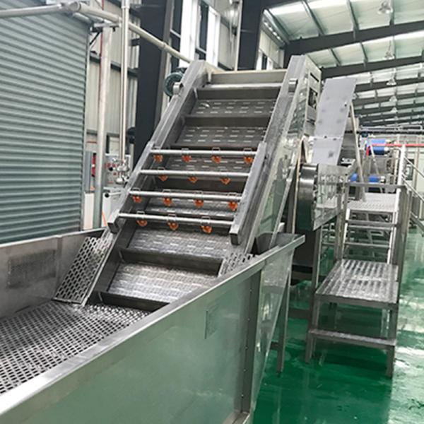 りんごジュース生産ライン/果肉加工機/マンゴー果汁加工ライン