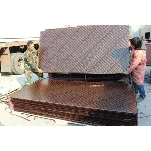Kemplywood, China famous brand film faced plywood, Best competitive construction shuttering plywood