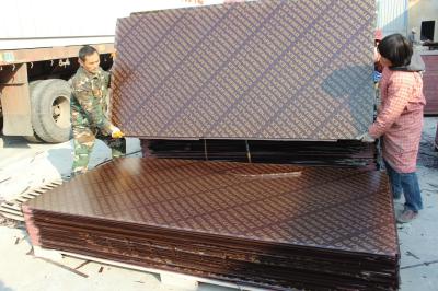One time hotpress marine plywood/ film faced plywood /shutting plywood to Philippines