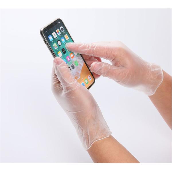 PVC Plastic Disposable Safety Gloves Transparent Food Grade FDA / CE Certificate