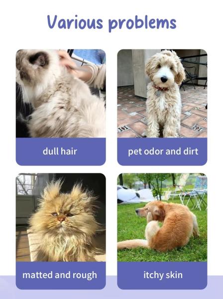 Eco Friendly Pet Clean Sheet Harmless Gentle Biodegradable Customizable