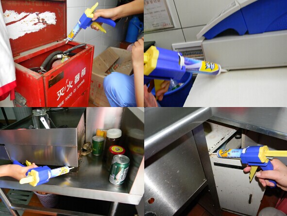 Quick Force Cockroach Gel Cockroach Bait Gel Amazon Applicator Gun