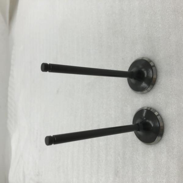 Valve d'échappement de moteur refroidie à l'huile pour moto à trois roues en acier DAYANG pour CB200-A