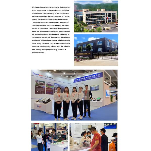 Customized Parallel Function 5KW 10KW Pure Sine Wave MPPT Wind Solar Power Inverter